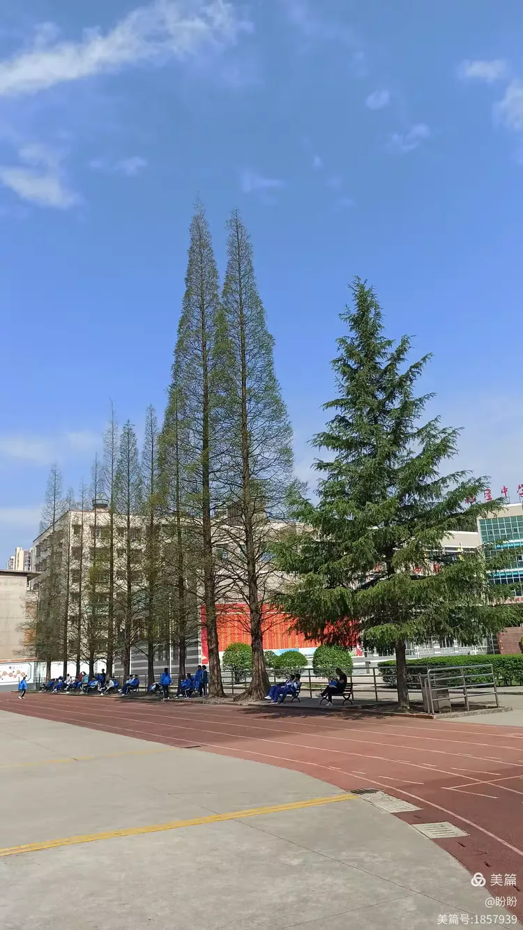 校园春色(摄于平坝集圣中学)